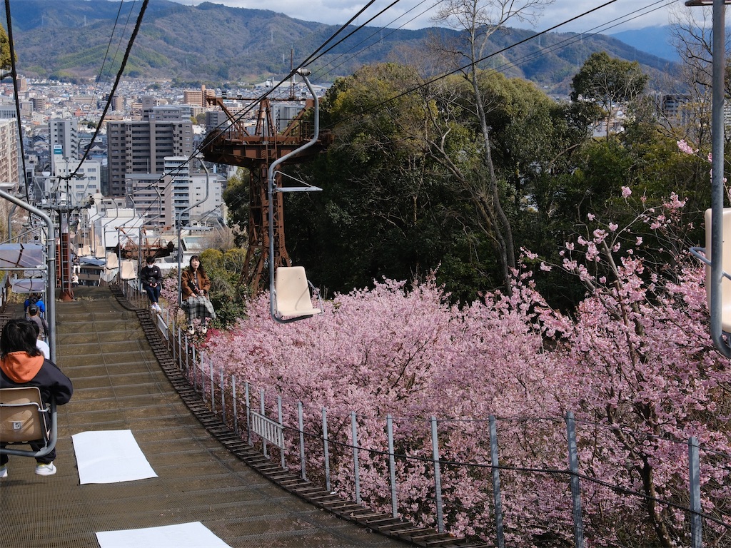 f:id:journey-neko:20260321141231j:image f:id:journey-neko:20260321141231j:image