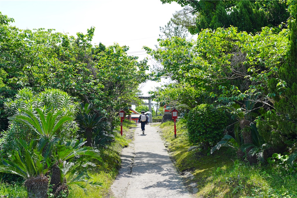 f:id:journey-neko:20260607164745j:image f:id:journey-neko:20260607164745j:image