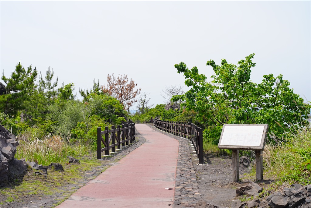 f:id:journey-neko:20260607164953j:image f:id:journey-neko:20260607164953j:image