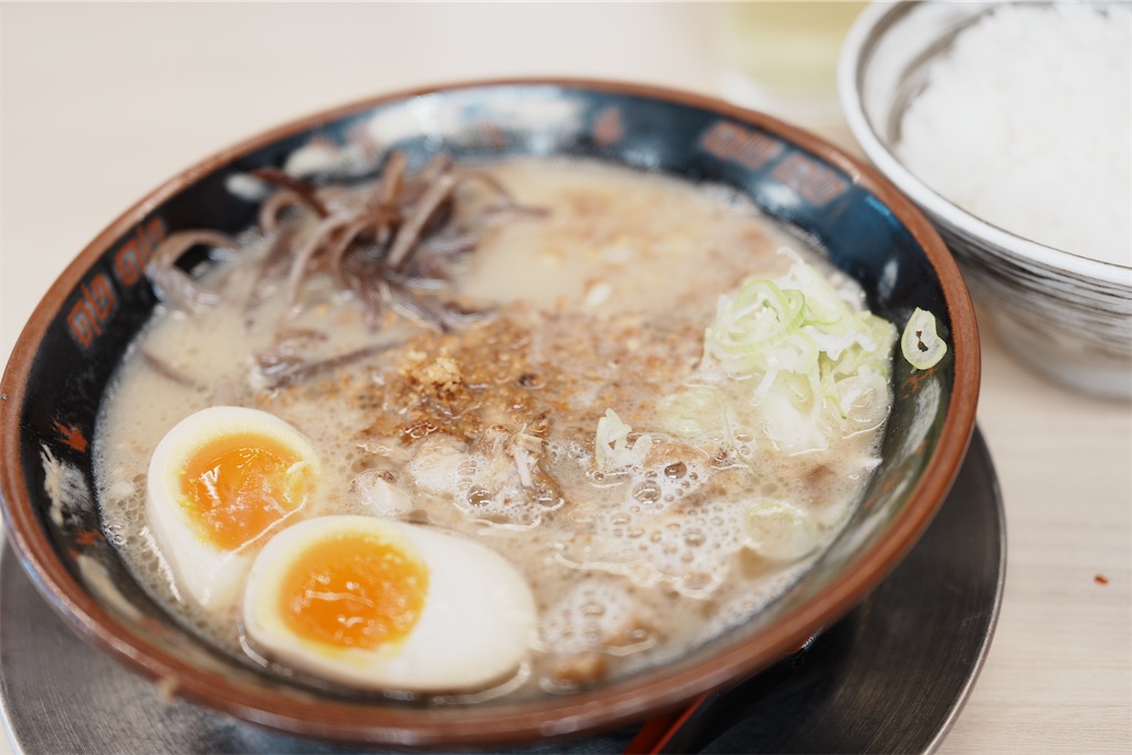 f:id:journey-neko:20260607165436j:image f:id:journey-neko:20260607165436j:image