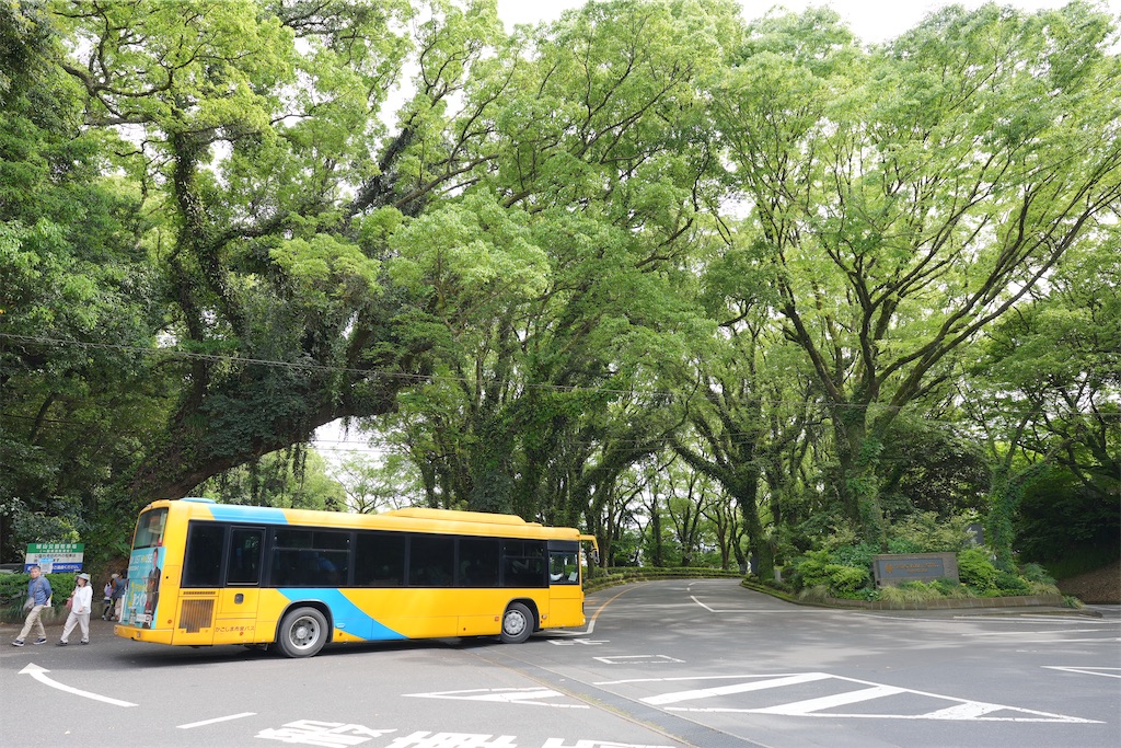 f:id:journey-neko:20260607165703j:image f:id:journey-neko:20260607165703j:image