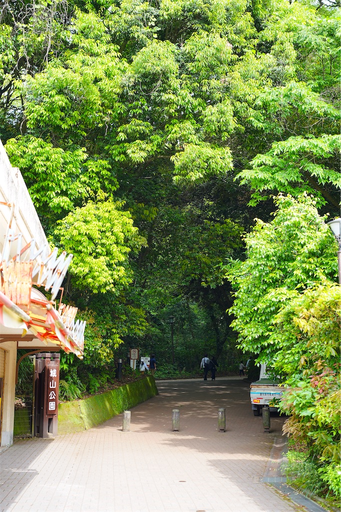 f:id:journey-neko:20260607165706j:image f:id:journey-neko:20260607165706j:image