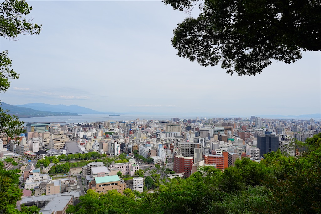 f:id:journey-neko:20260607165748j:image f:id:journey-neko:20260607165748j:image