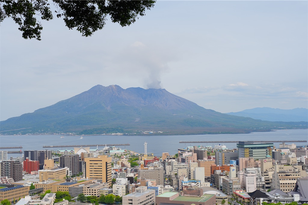 f:id:journey-neko:20260607165751j:image f:id:journey-neko:20260607165751j:image
