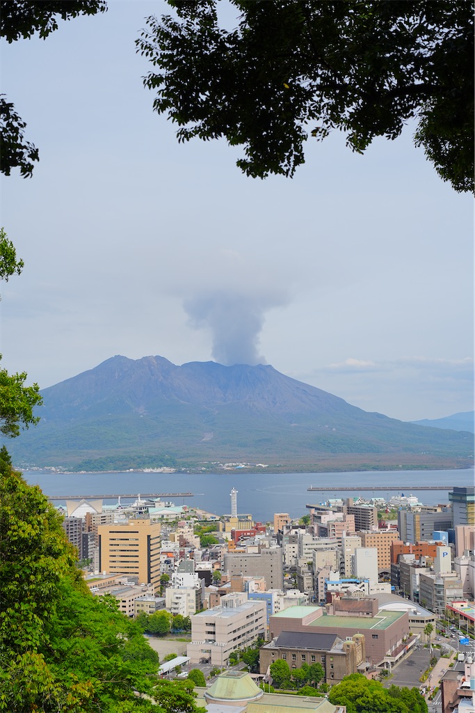 f:id:journey-neko:20260607165822j:image f:id:journey-neko:20260607165822j:image