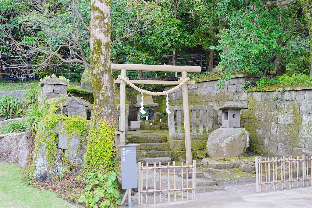 f:id:journey-neko:20260607170446j:image f:id:journey-neko:20260607170446j:image