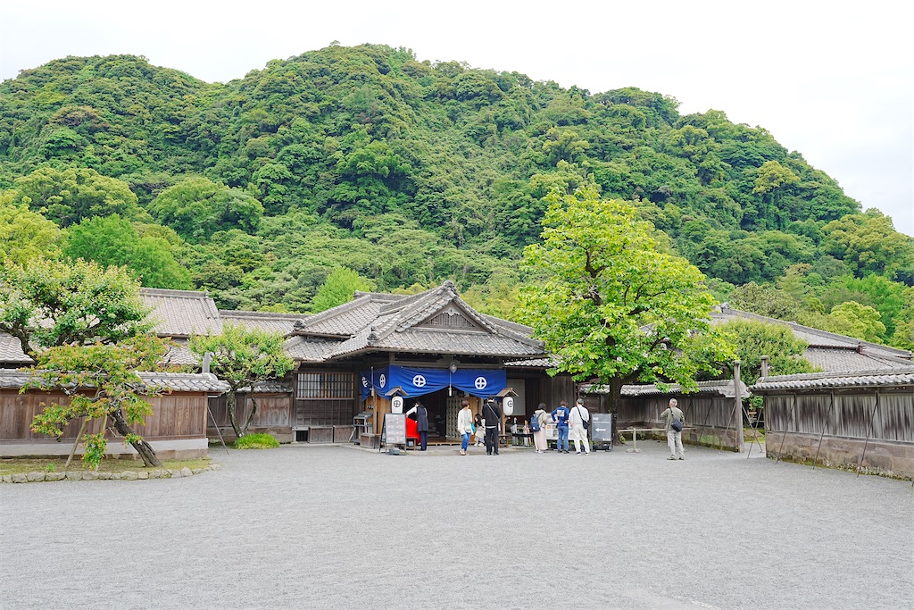 f:id:journey-neko:20260607170613j:image f:id:journey-neko:20260607170613j:image