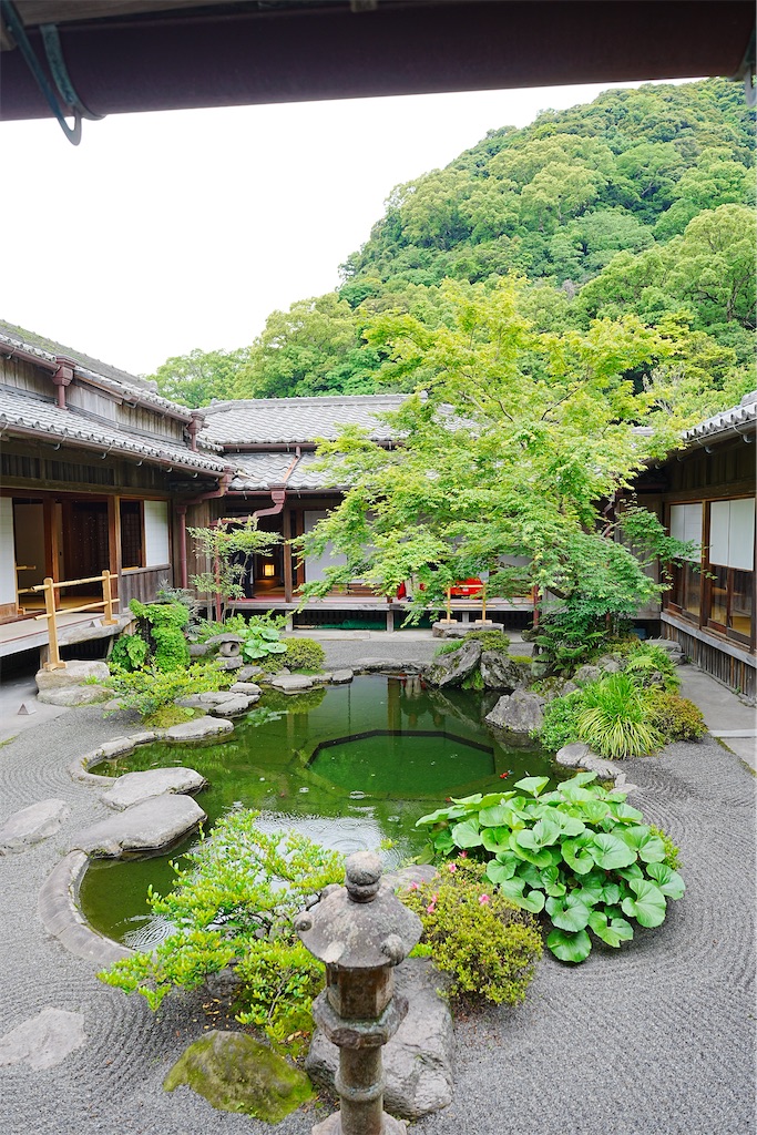 f:id:journey-neko:20260607170717j:image f:id:journey-neko:20260607170717j:image