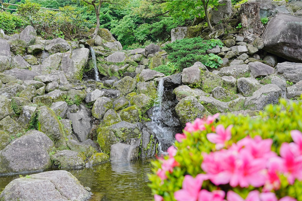 f:id:journey-neko:20260607170906j:image f:id:journey-neko:20260607170906j:image