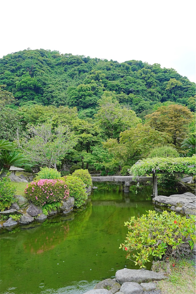 f:id:journey-neko:20260607170909j:image f:id:journey-neko:20260607170909j:image