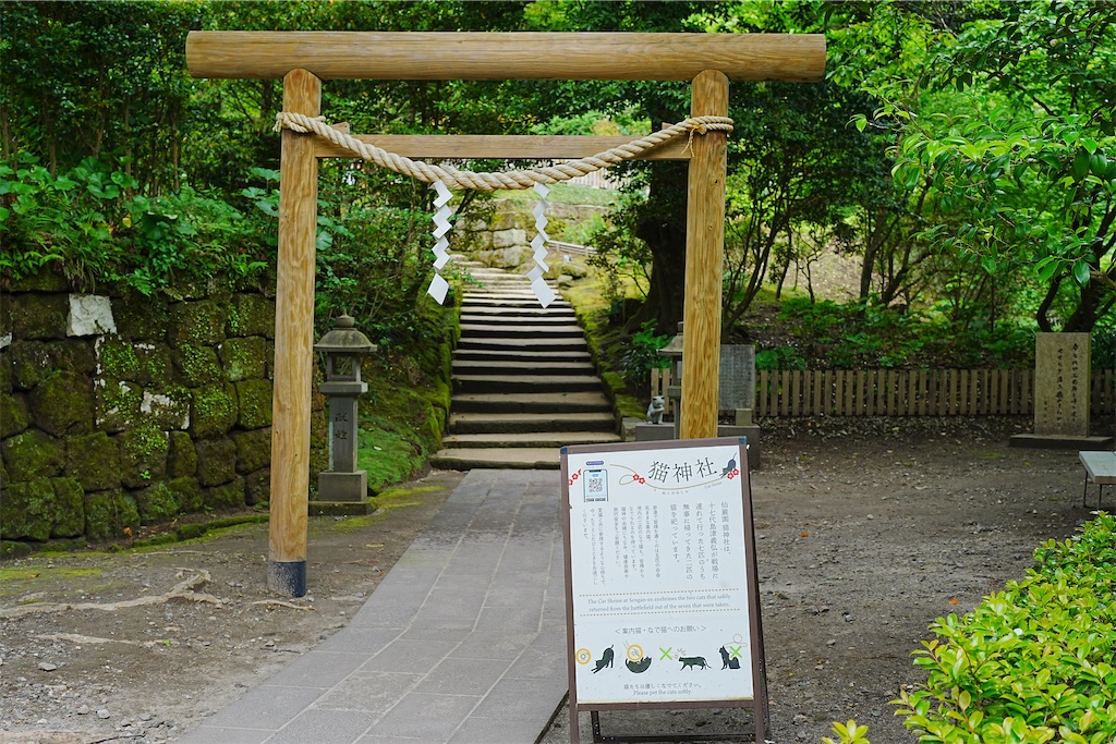 f:id:journey-neko:20260607171019j:image f:id:journey-neko:20260607171019j:image