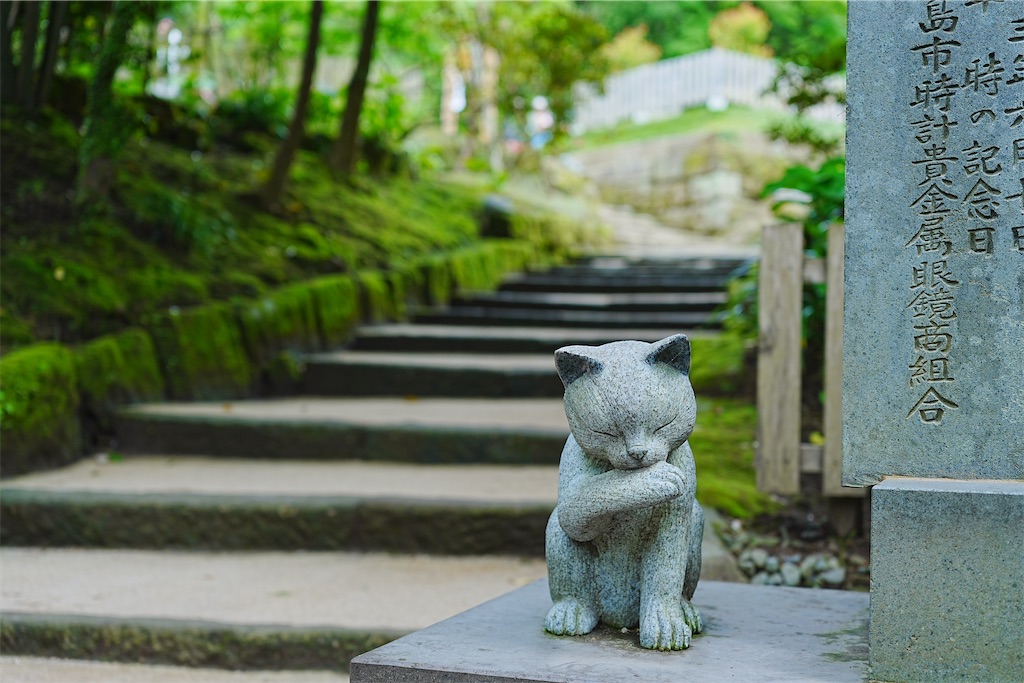 f:id:journey-neko:20260607171022j:image f:id:journey-neko:20260607171022j:image
