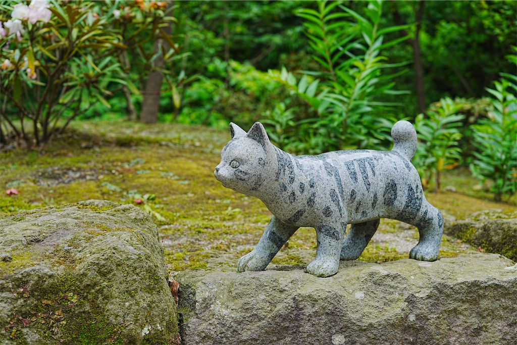f:id:journey-neko:20260607171025j:image f:id:journey-neko:20260607171025j:image