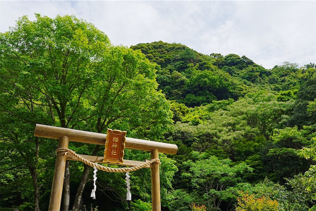 f:id:journey-neko:20260607171051j:image f:id:journey-neko:20260607171051j:image