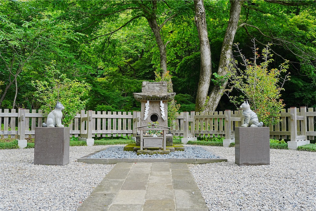 f:id:journey-neko:20260607171054j:image f:id:journey-neko:20260607171054j:image