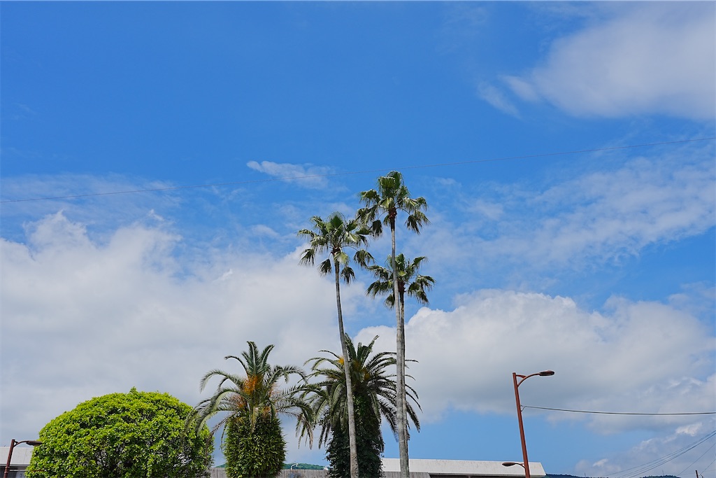 f:id:journey-neko:20260607172533j:image f:id:journey-neko:20260607172533j:image
