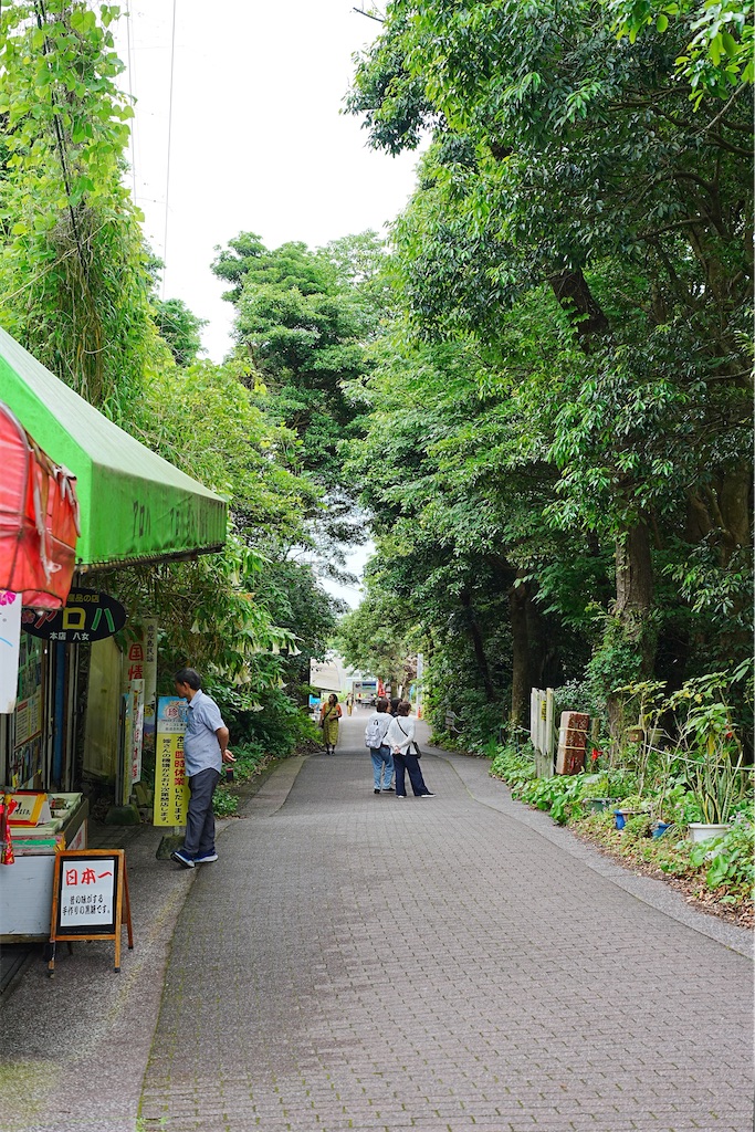 f:id:journey-neko:20260607172606j:image f:id:journey-neko:20260607172606j:image
