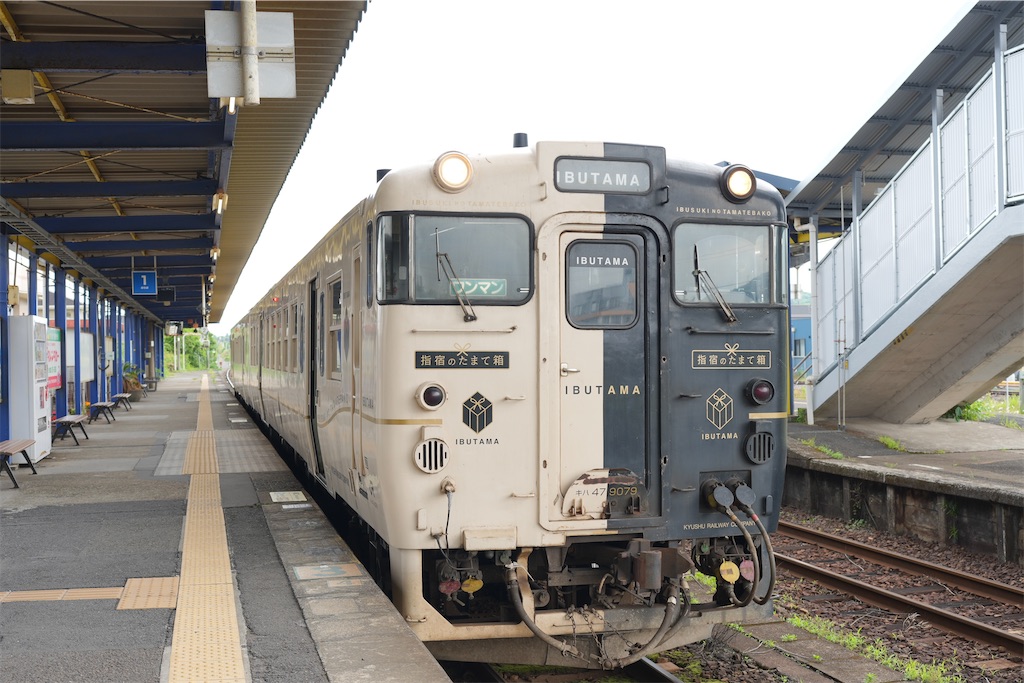 f:id:journey-neko:20260607173233j:image f:id:journey-neko:20260607173233j:image