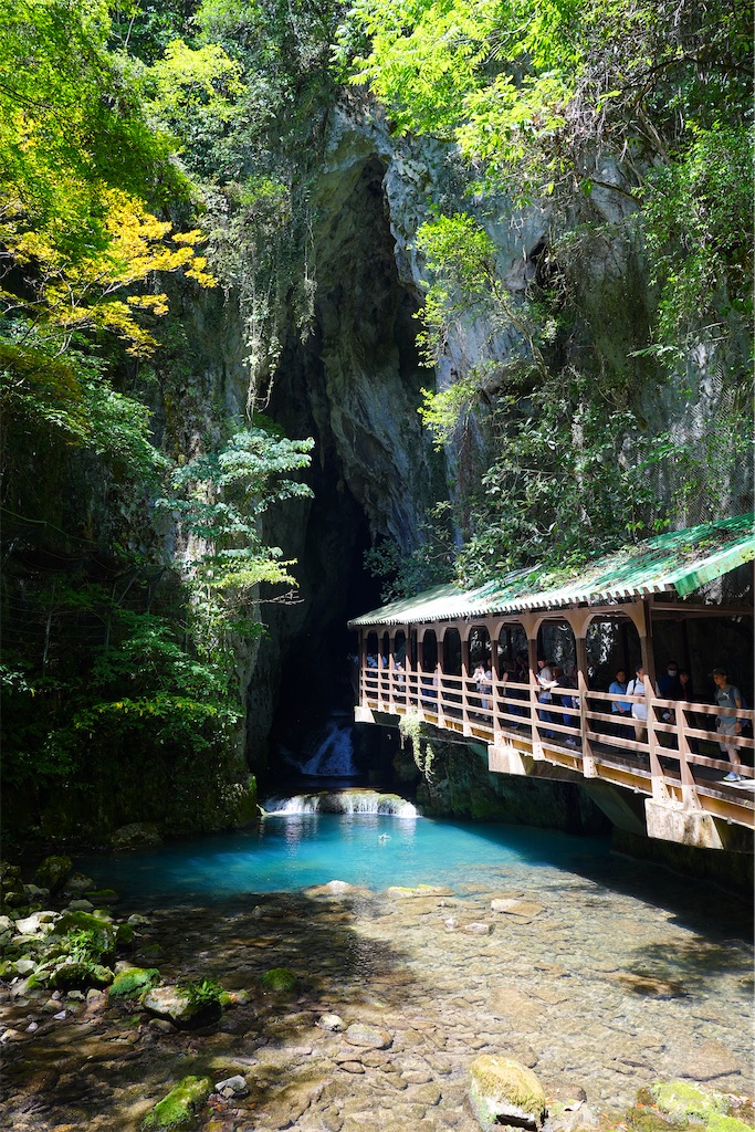 f:id:journey-neko:20260906104836j:image f:id:journey-neko:20260906104836j:image