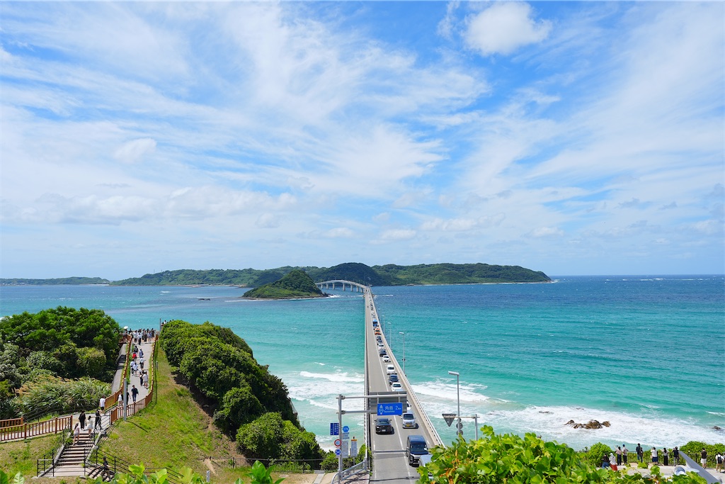 f:id:journey-neko:20260906105104j:image f:id:journey-neko:20260906105104j:image
