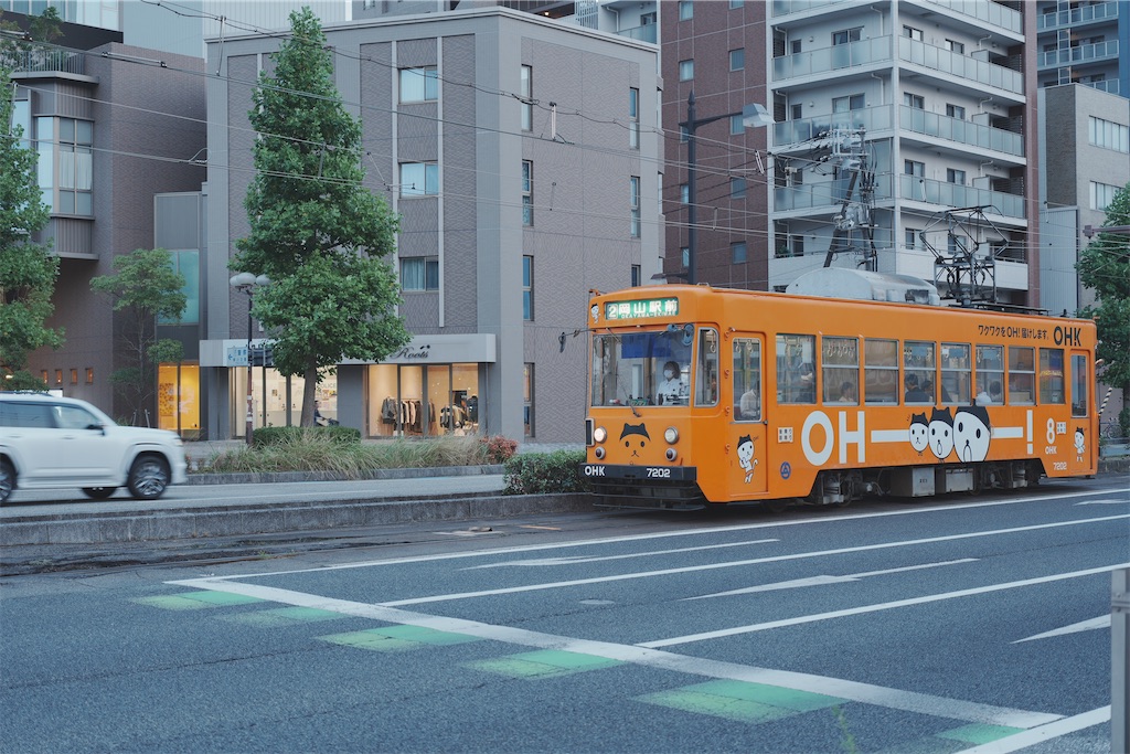 f:id:journey-neko:20260906110911j:image f:id:journey-neko:20260906110911j:image