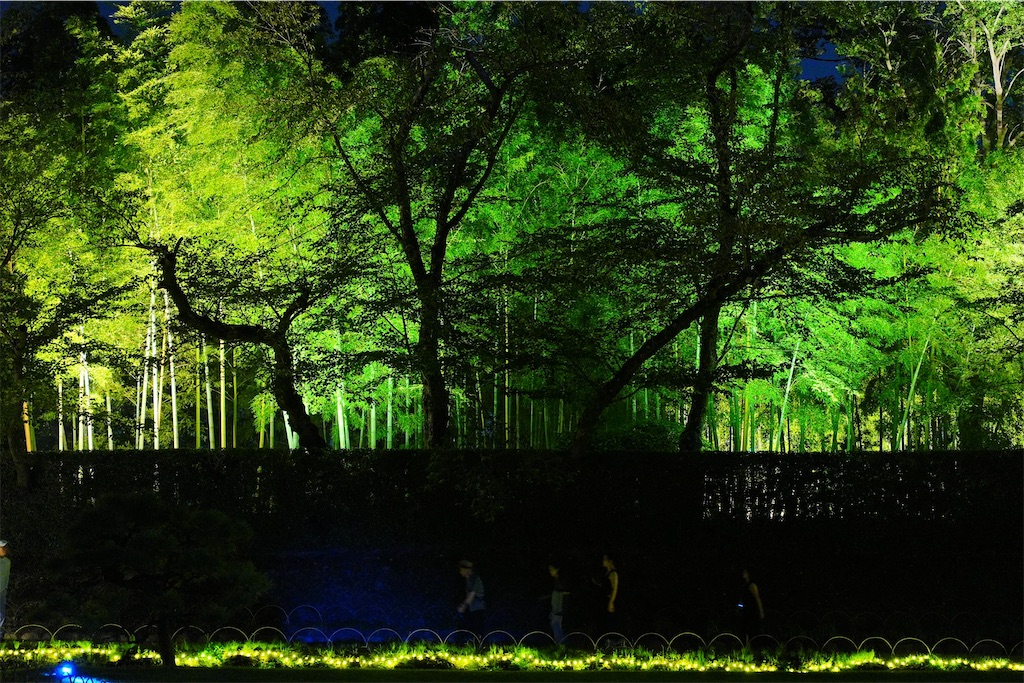 f:id:journey-neko:20260906111604j:image f:id:journey-neko:20260906111604j:image