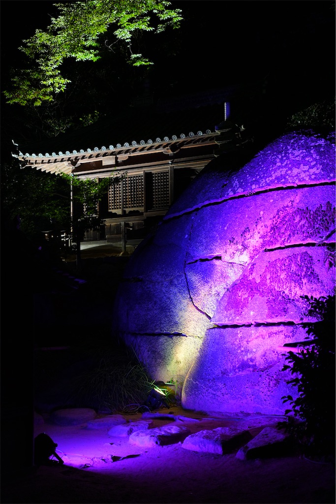 f:id:journey-neko:20260906111753j:image f:id:journey-neko:20260906111753j:image