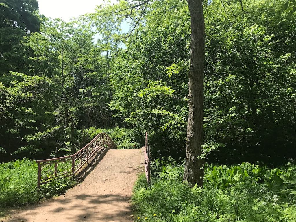 f:id:journey-north:20190615200551j:image f:id:journey-north:20190615200551j:image