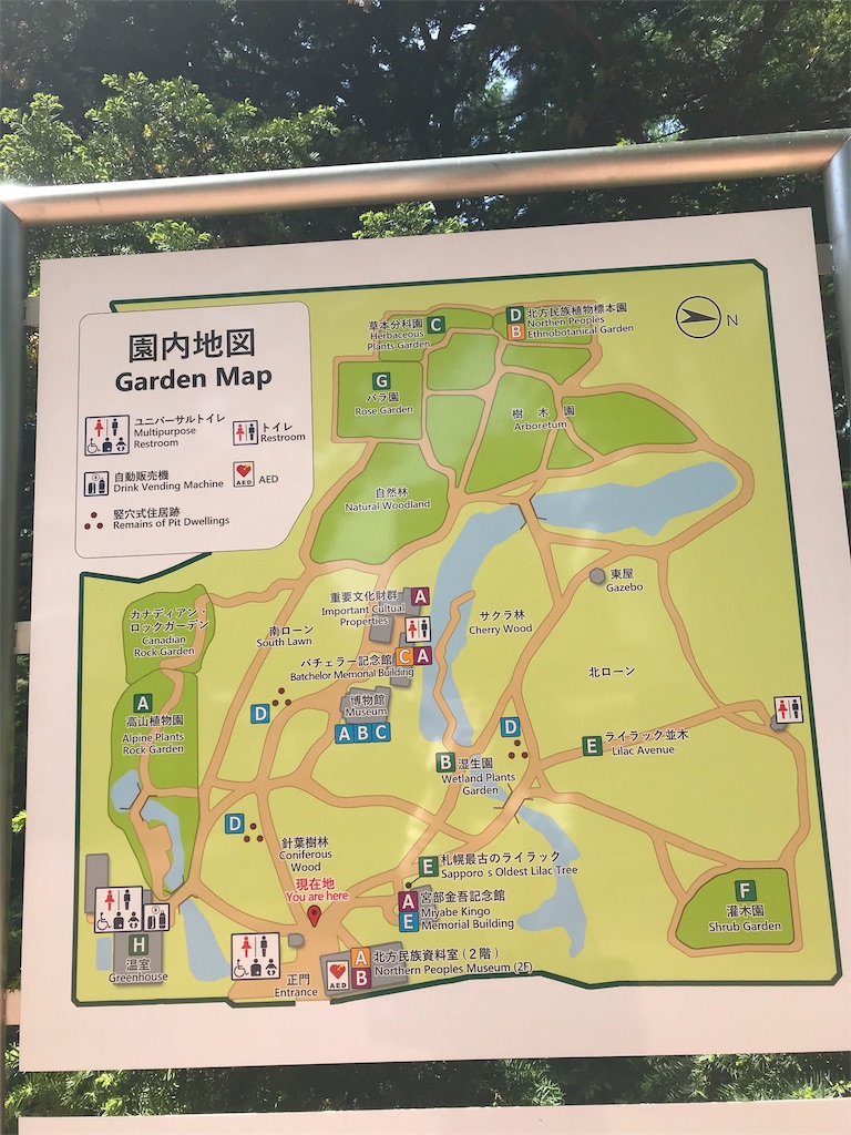 f:id:journey-north:20190615200554j:image f:id:journey-north:20190615200554j:image
