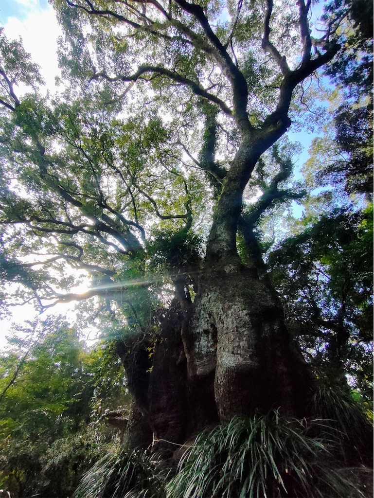 f:id:journeyharuki:20250330132514j:image f:id:journeyharuki:20250330132514j:image