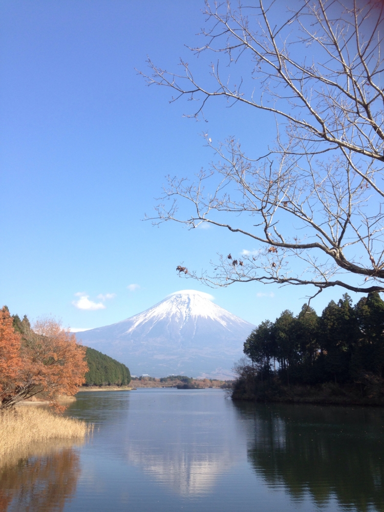 f:id:journeykk:20141128225233j:plain f:id:journeykk:20141128225233j:plain