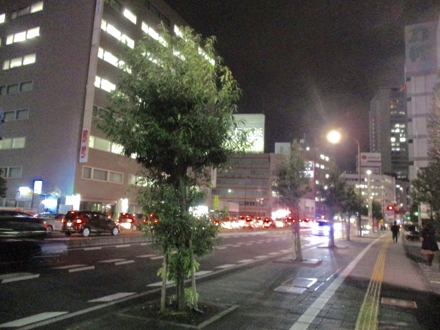f:id:journeykk:20161201104232j:plain f:id:journeykk:20161201104232j:plain