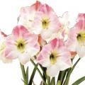 f:id:jovanna:20110318062421j:image f:id:jovanna:20110318062421j:image