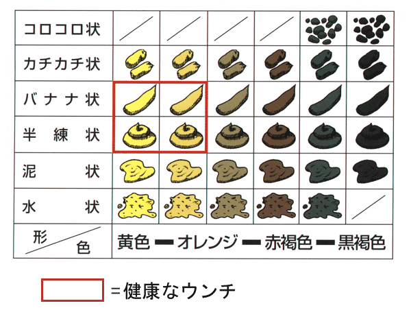 便秘になる期間はどれくらいですか?