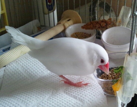 f:id:joy22ful:20130319213422j:image
