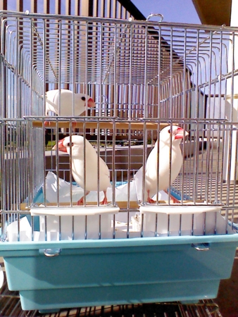 f:id:joy22ful:20131010075903j:image
