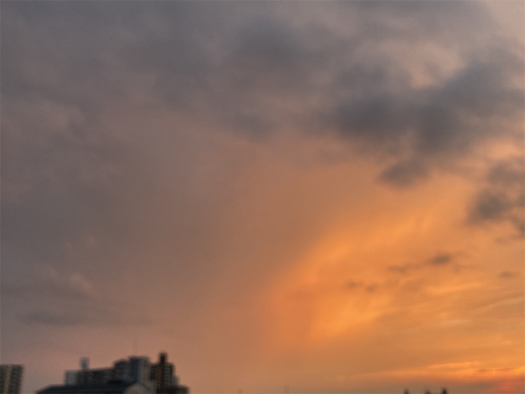 f:id:joy_joy17:20220716083925j:image f:id:joy_joy17:20220716083925j:image