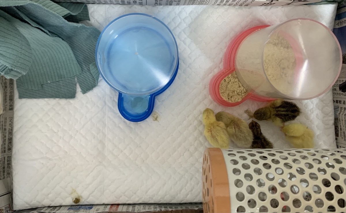 f:id:joyful_life:20211017200955j:plain