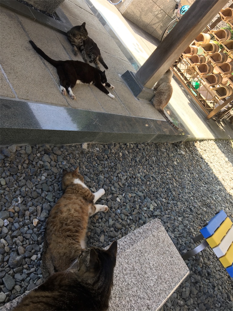 f:id:joyjoyjoyful:20180702124110j:image f:id:joyjoyjoyful:20180702124110j:image