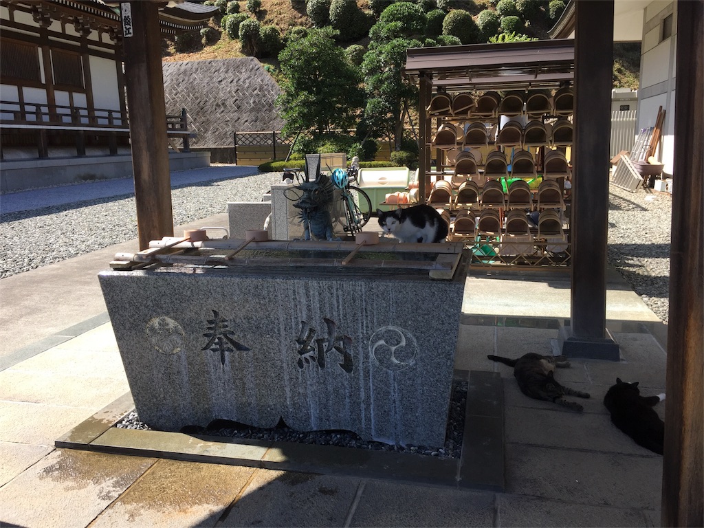 f:id:joyjoyjoyful:20180705090731j:image f:id:joyjoyjoyful:20180705090731j:image