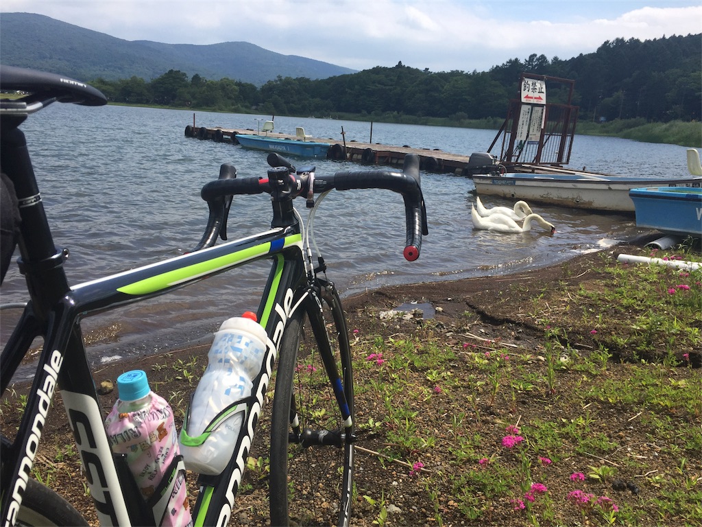 f:id:joyjoyjoyful:20180716230452j:image f:id:joyjoyjoyful:20180716230452j:image
