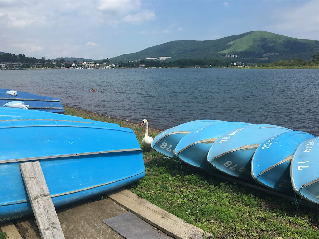 f:id:joyjoyjoyful:20180716230508j:image f:id:joyjoyjoyful:20180716230508j:image