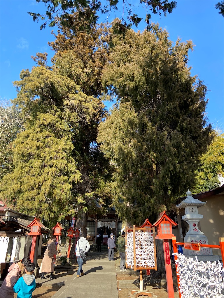 f:id:joylivinglab:20210104202248j:image f:id:joylivinglab:20210104202248j:image