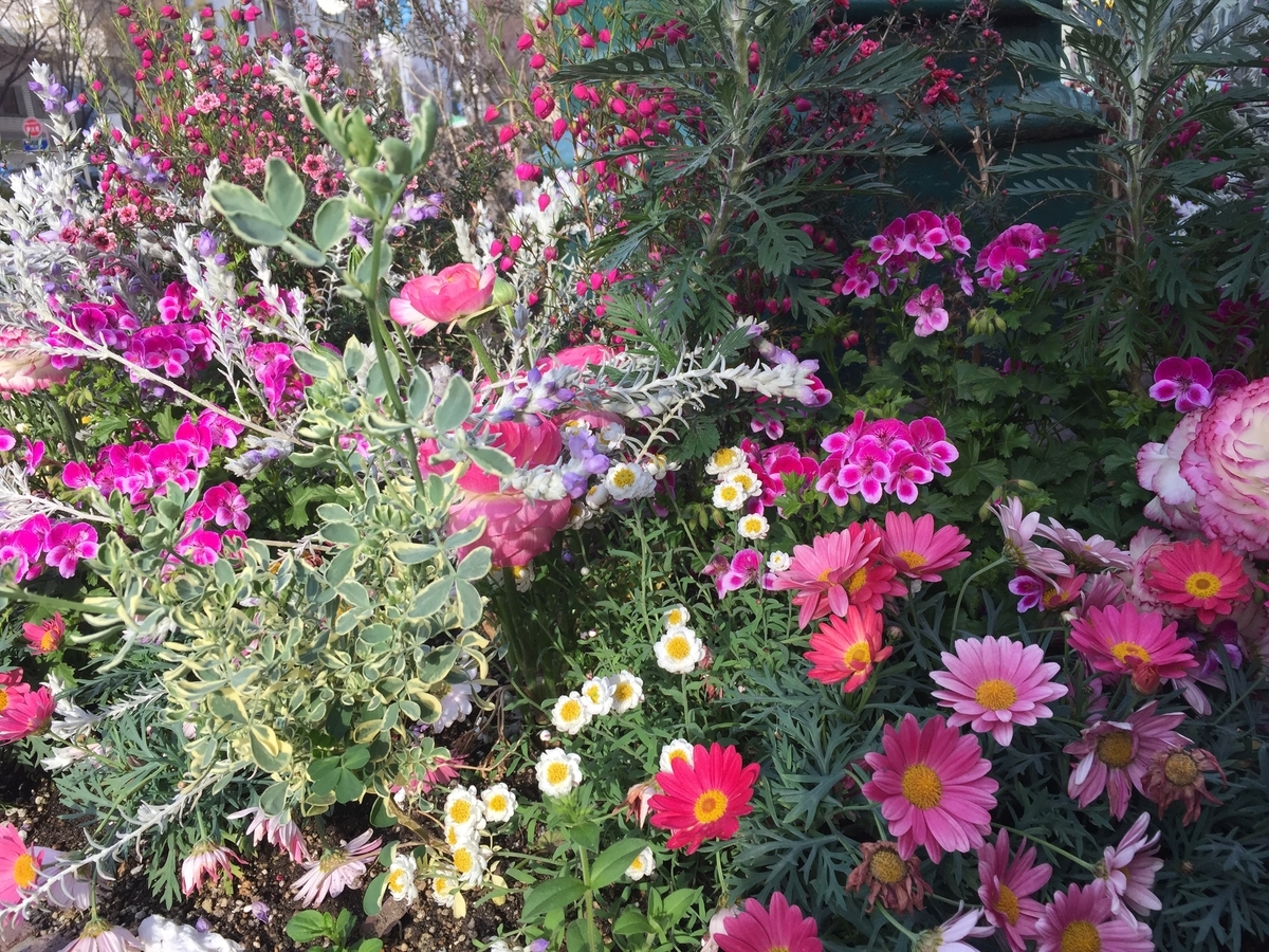 f:id:joylotus39:20190406112339j:plain