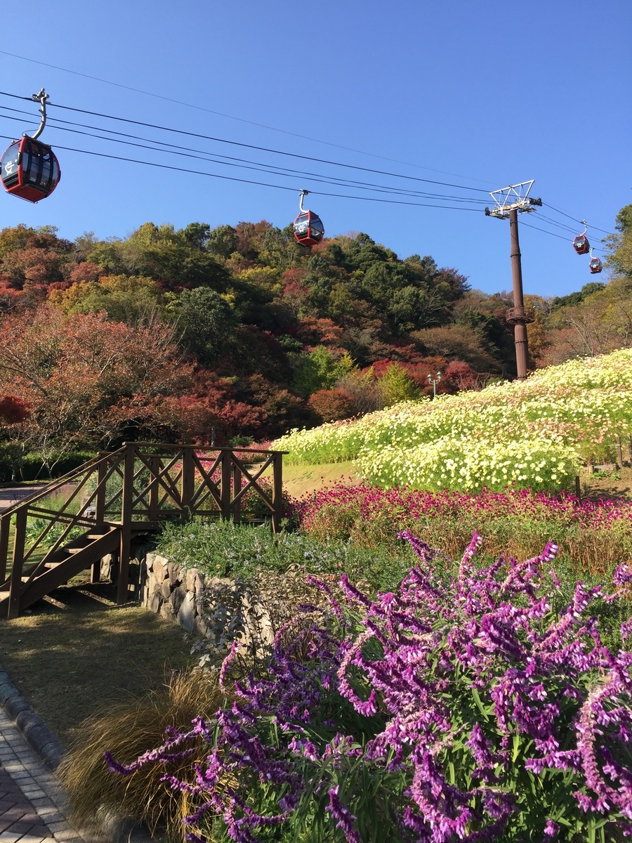 f:id:joylotus39:20201126205600j:plain