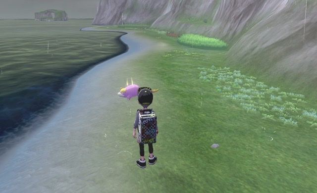 ポケモンソード エキスパンションパス 鎧の孤島 5 おとしもの わすれもの 誰のもの Joy Planet