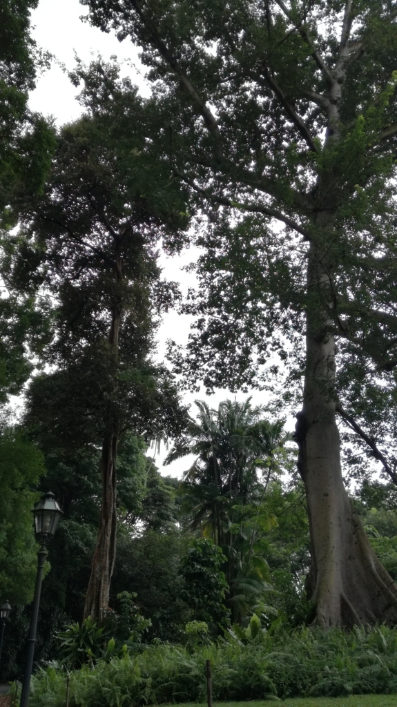 f:id:jp2020-transparent:20180612213019j:plain f:id:jp2020-transparent:20180612213019j:plain
