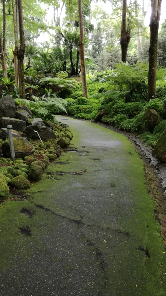 f:id:jp2020-transparent:20180612213047j:plain f:id:jp2020-transparent:20180612213047j:plain