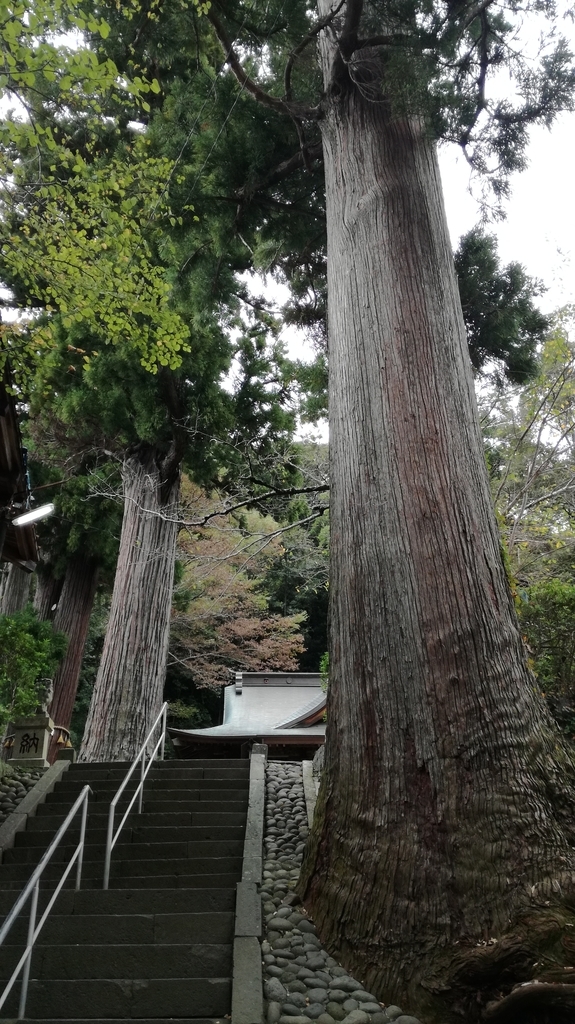 f:id:jp2020-transparent:20181020200058j:plain f:id:jp2020-transparent:20181020200058j:plain