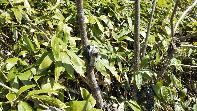 f:id:jp7qma:20200404123833j:image